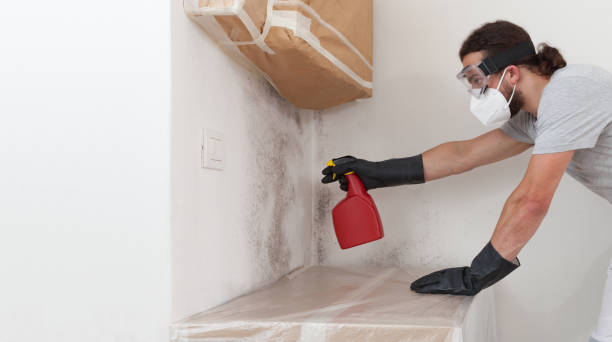 Professional Bathroom Mold Removal technician working in Laporte, CO